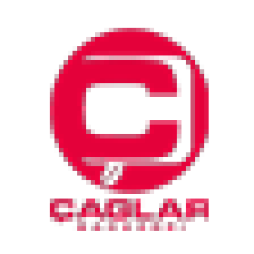 Mobile Logo